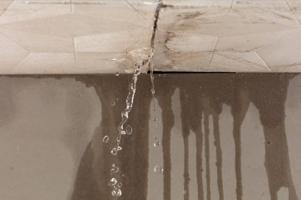 Professional Water Extraction technician working in Magnolia, NC